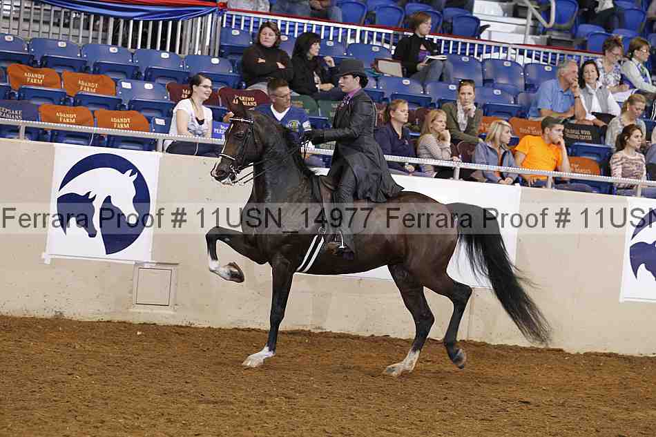 Proof Number 11usn_14977