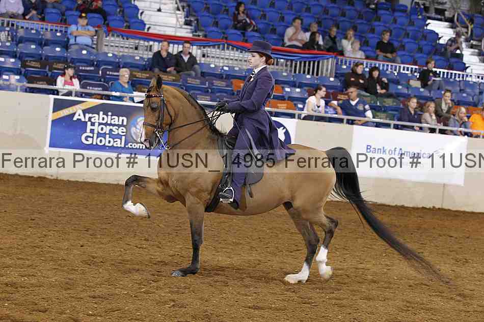 Proof Number 11usn_14985