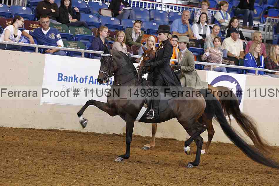 Proof Number 11usn_14986