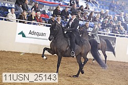 11usn_25143 thumbnail