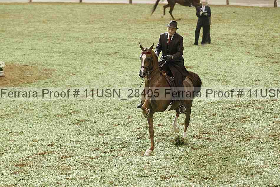 Proof Number 11usn_28405
