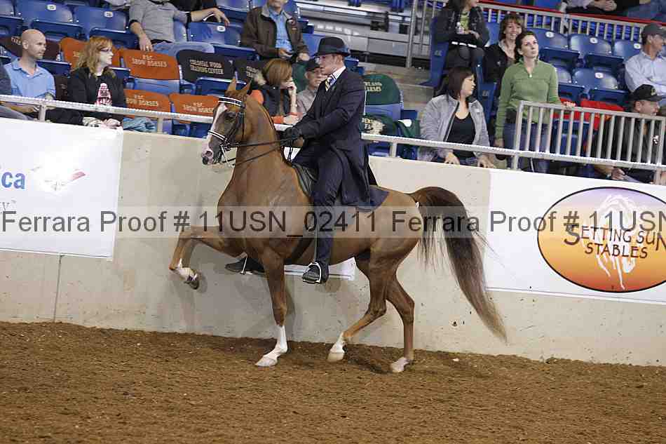 Proof Number 11usn_02411