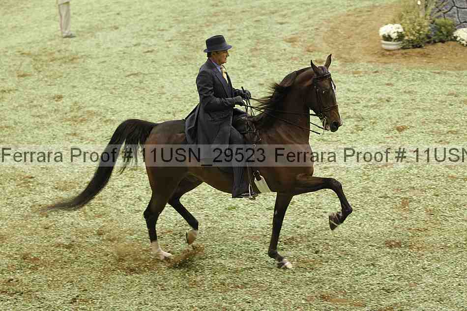 Proof Number 11usn_29523
