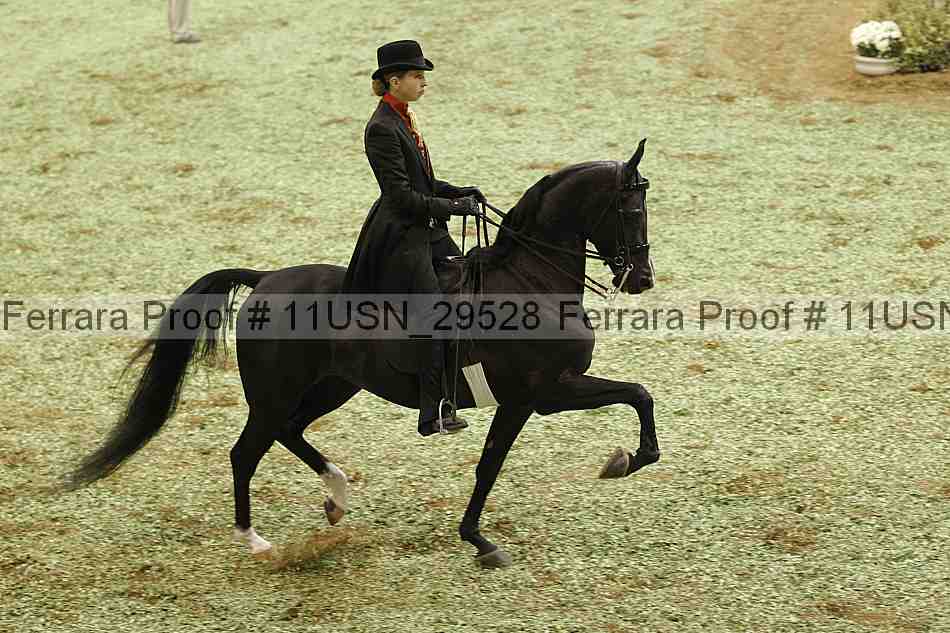 Proof Number 11usn_29528
