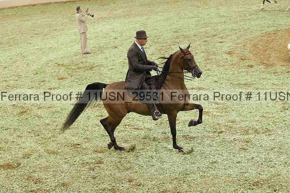 Proof Number 11usn_29531