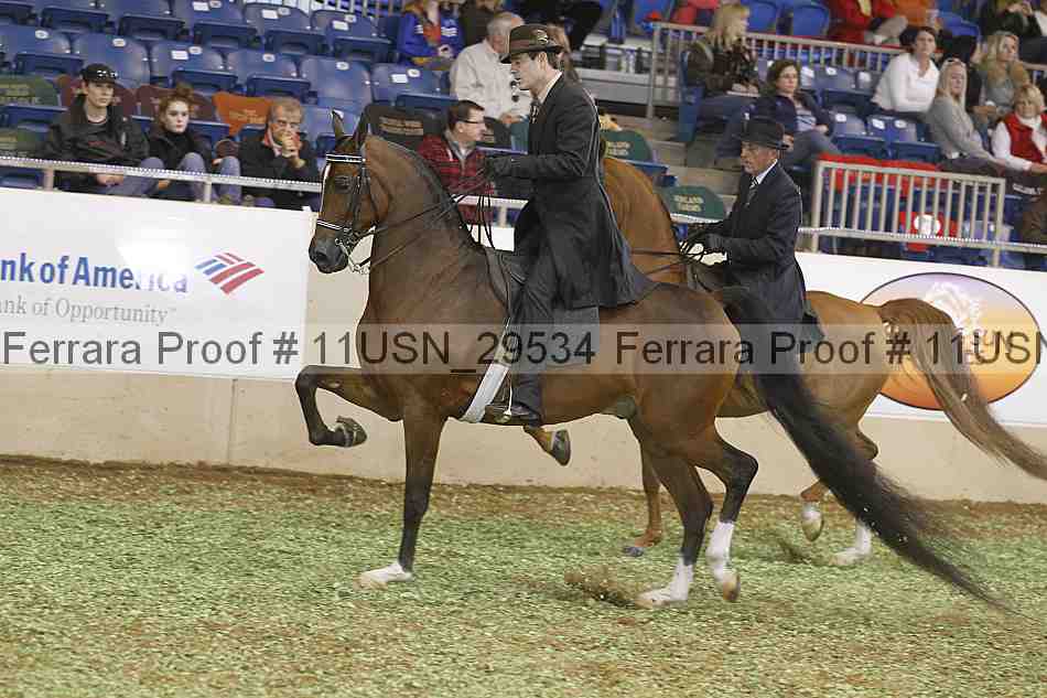 Proof Number 11usn_29534