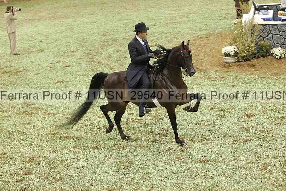 Proof Number 11usn_29540