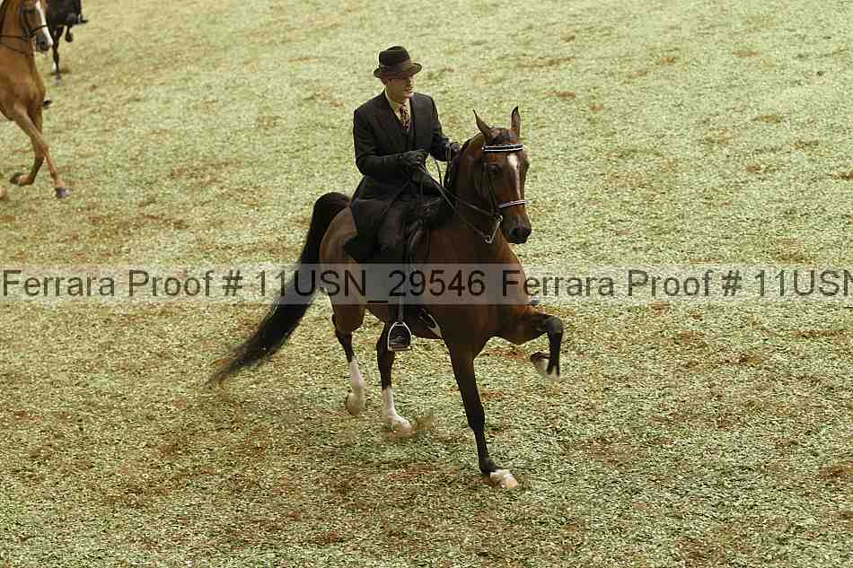 Proof Number 11usn_29546