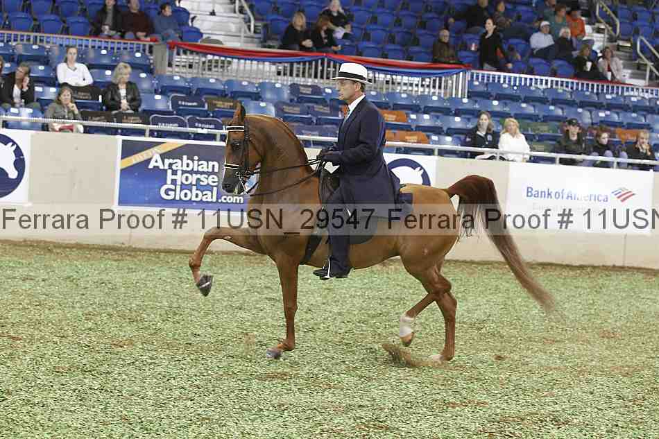 Proof Number 11usn_29547