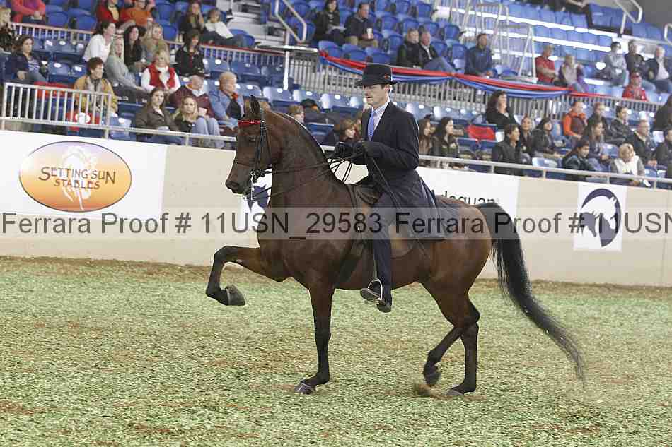 Proof Number 11usn_29583