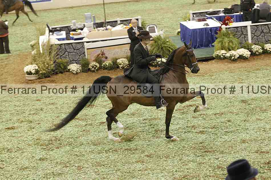Proof Number 11usn_29584