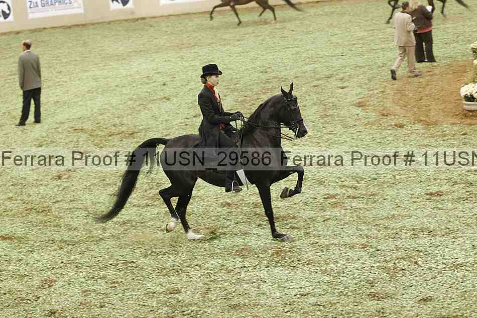Proof Number 11usn_29586