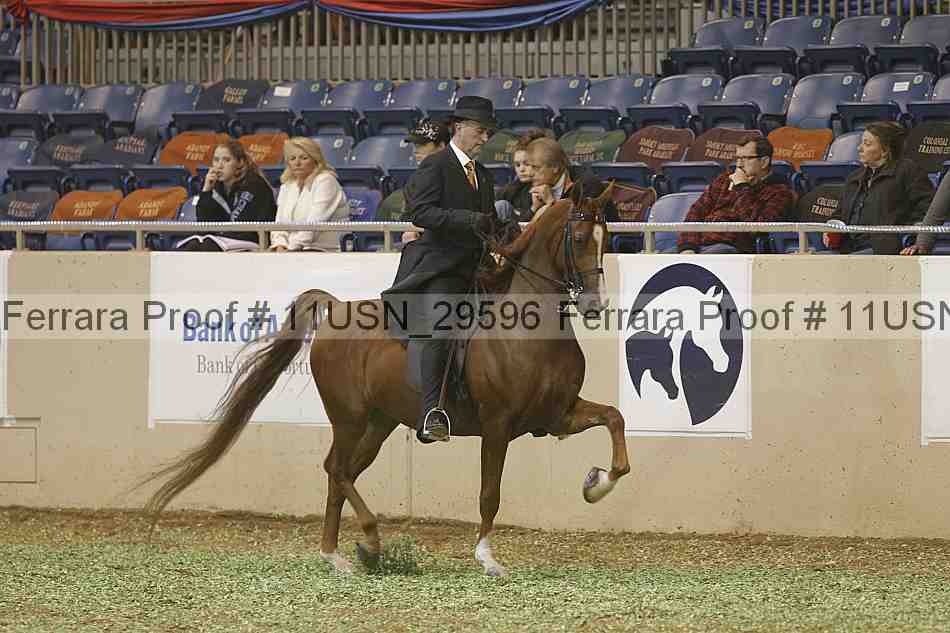 Proof Number 11usn_29596
