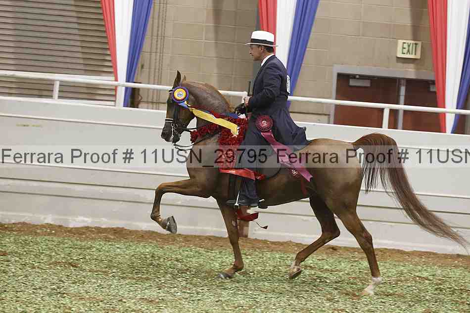 Proof Number 11usn_29795