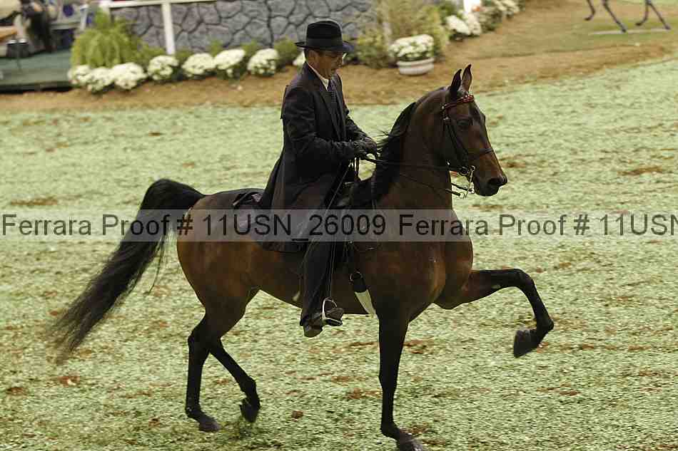 Proof Number 11usn_26009