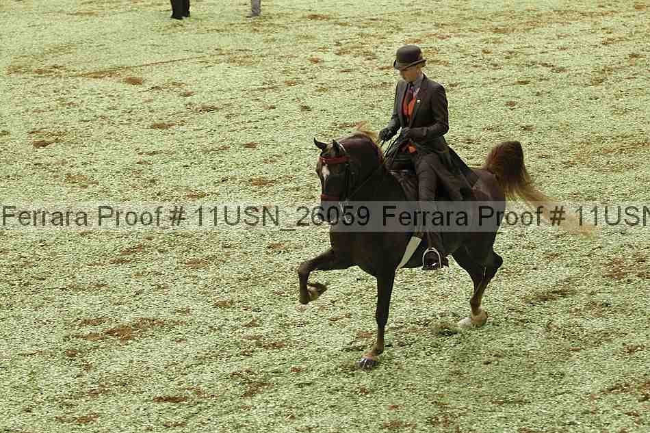 Proof Number 11usn_26059