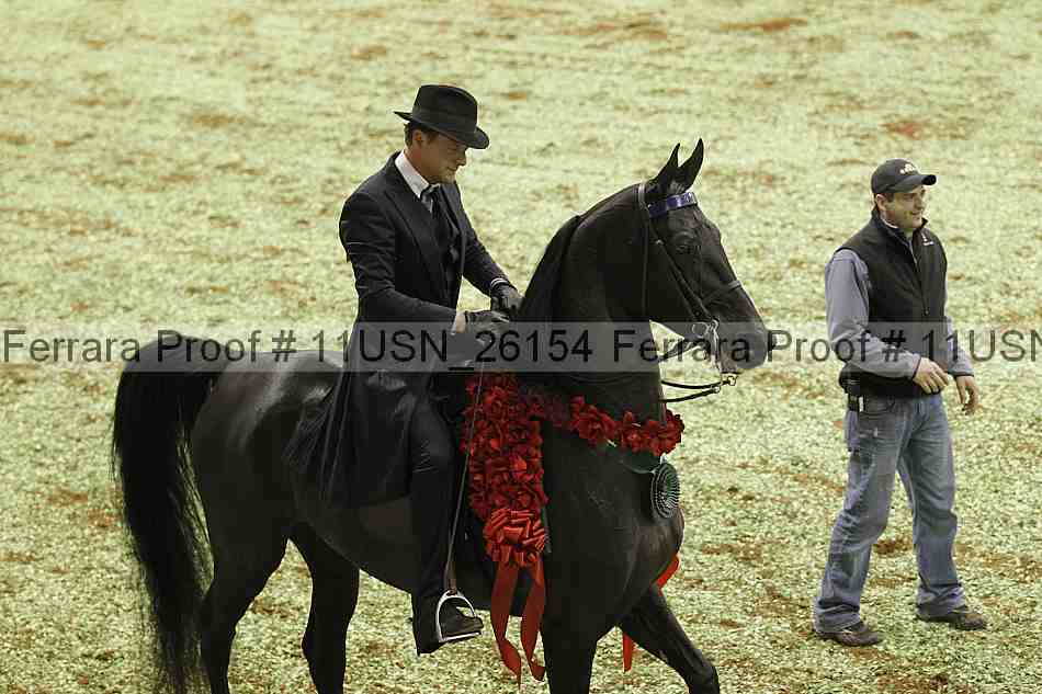 Proof Number 11usn_26154