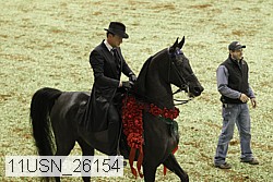 11usn_26154 thumbnail