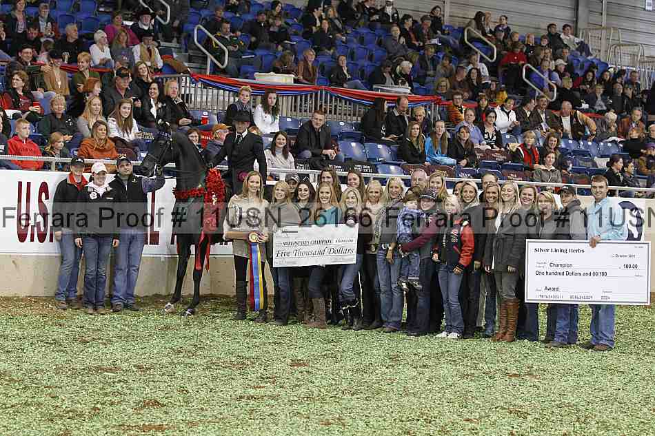 Proof Number 11usn_26166