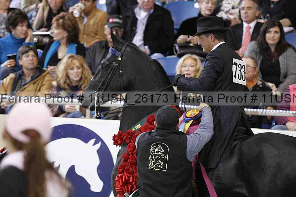 Proof Number 11usn_26173