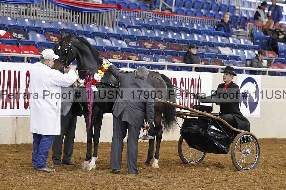Proof Number 11usn_17903
