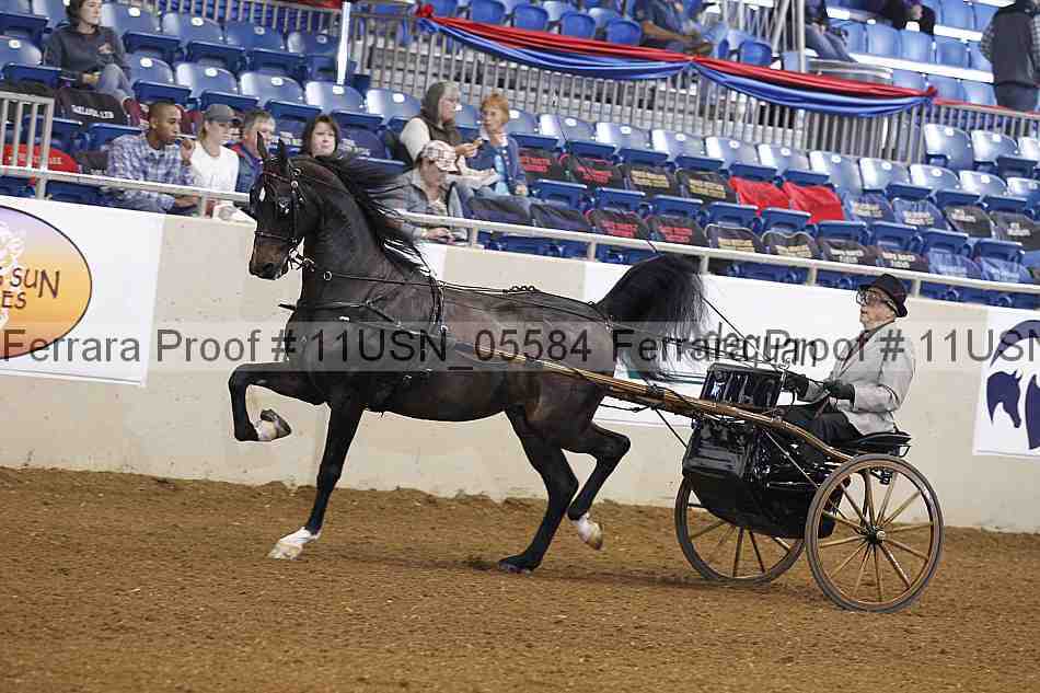 Proof Number 11usn_05584