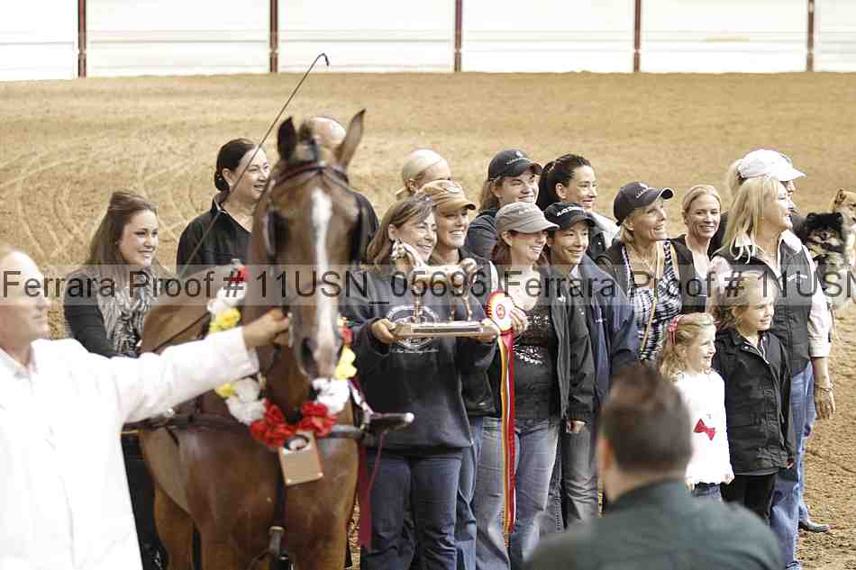 Proof Number 11usn_05696