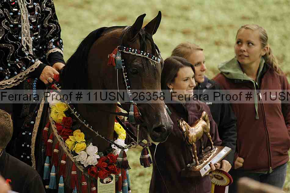 Proof Number 11usn_26358