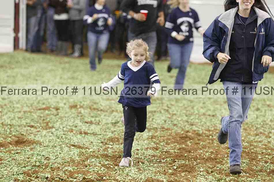 Proof Number 11usn_26379