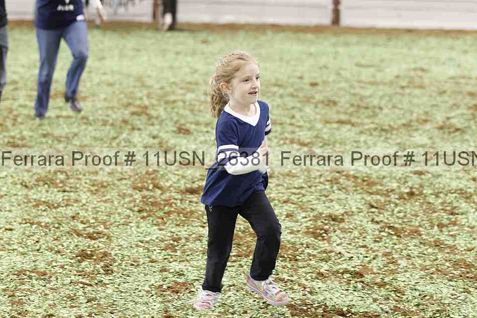 Proof Number 11usn_26381