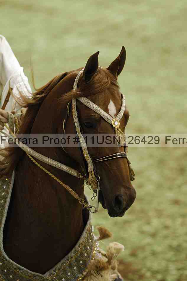 Proof Number 11usn_26429