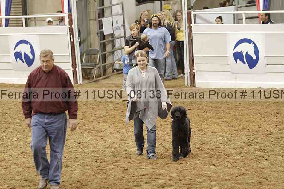 Proof Number 11usn_08133