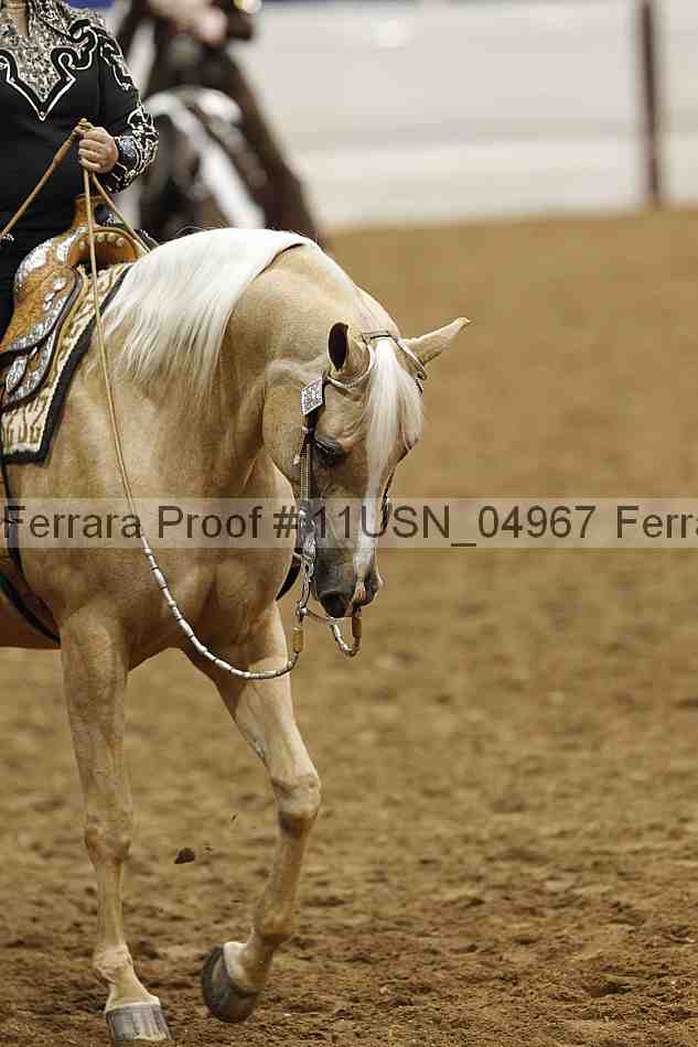 Proof Number 11usn_04967