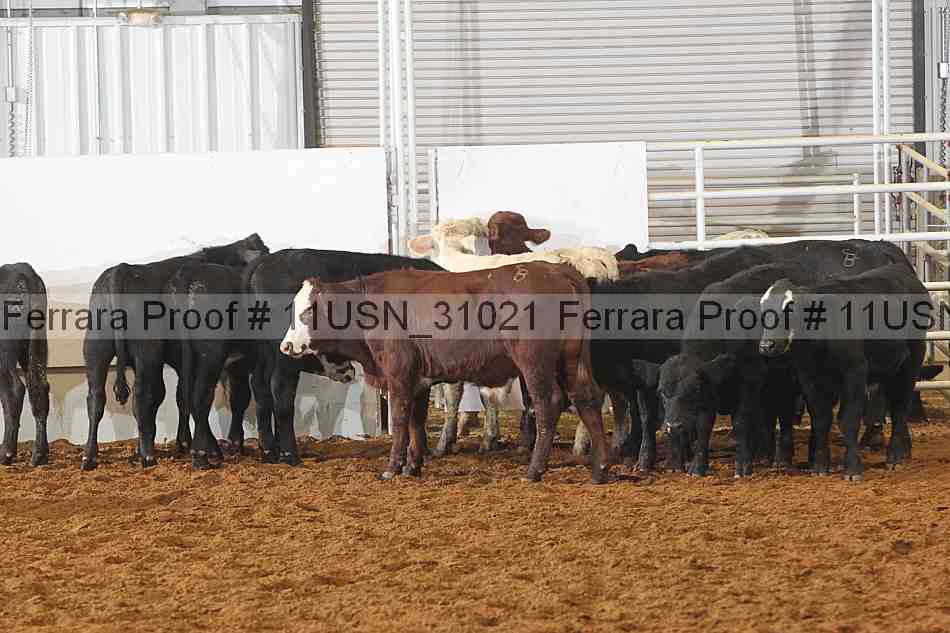 Proof Number 11usn_31021