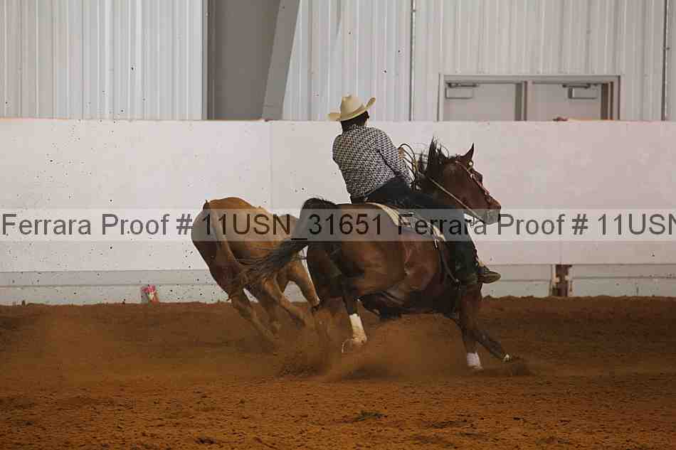 Proof Number 11usn_31651