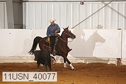 11usn_40077 thumbnail