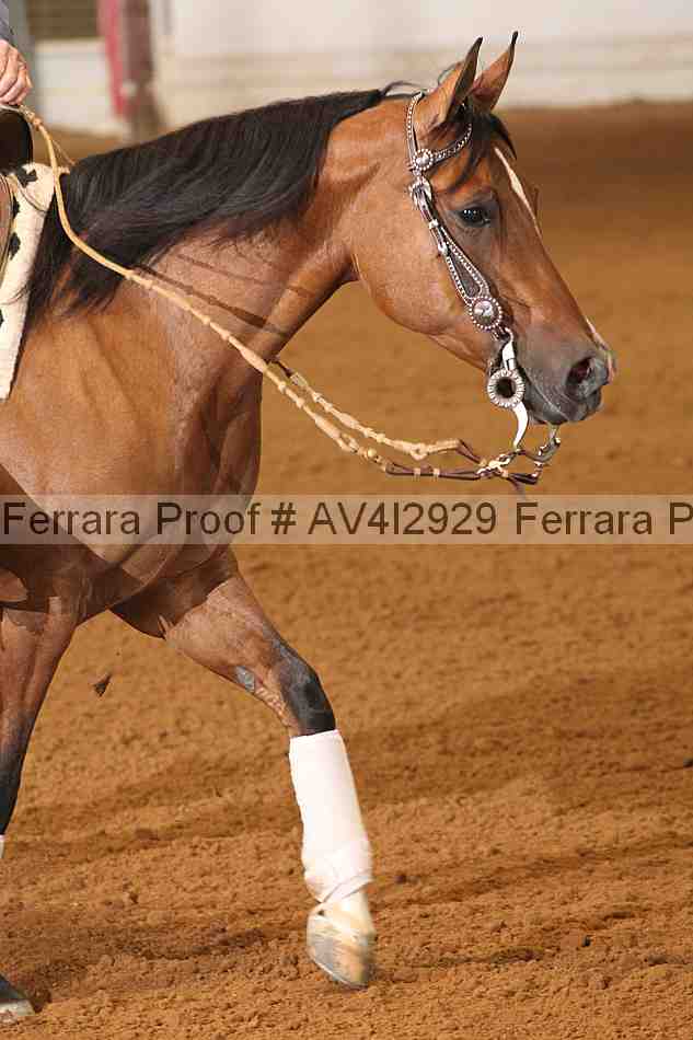 Proof Number av4i2929
