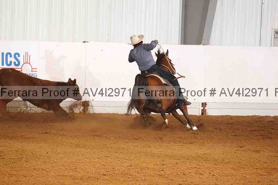 Proof Number av4i2971