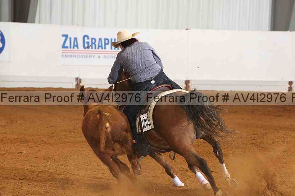 Proof Number av4i2976