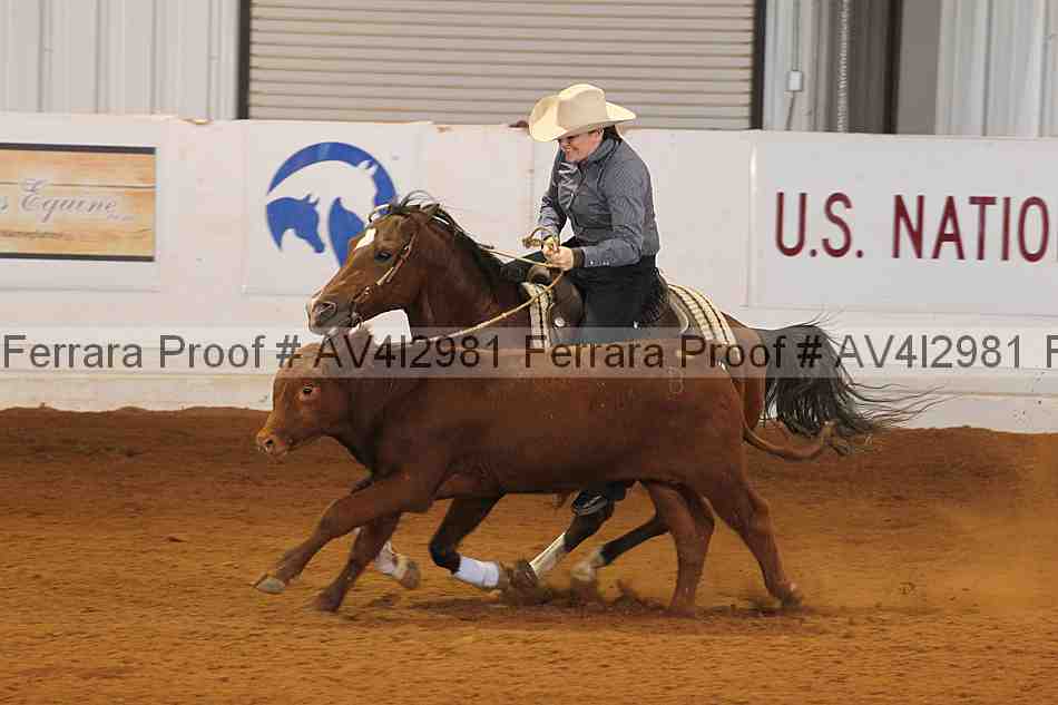 Proof Number av4i2981