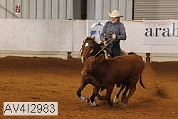 av4i2983 thumbnail
