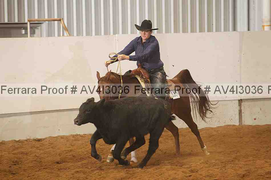 Proof Number av4i3036