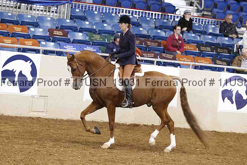 Proof Number 11usn_19031