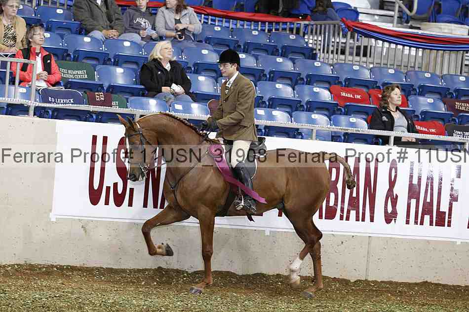 Proof Number 11usn_31908