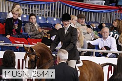 11usn_25447 thumbnail