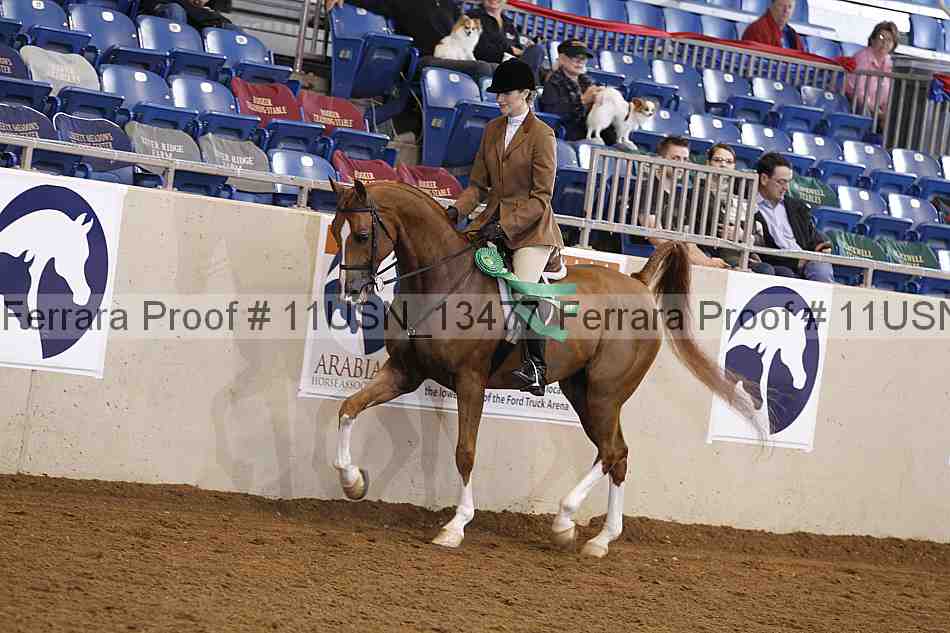 Proof Number 11usn_13477