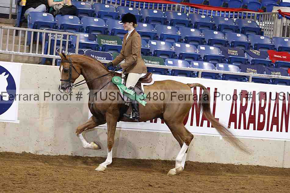 Proof Number 11usn_13480
