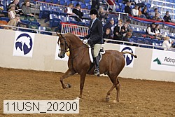 11usn_20200 thumbnail