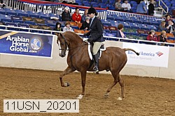 11usn_20201 thumbnail