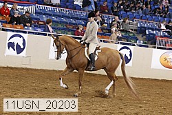 11usn_20203 thumbnail